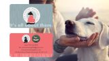 מיתוג ועיצוב גרפי - ענבל - מסג' מקצועי לכלבים